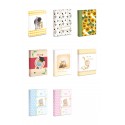 KIT8 - 3 Album foto Generico 1 Album Comunione 1 Album Cresima 1 Album Laurea 2 Album Nascita e Battesimo 23x30 - 30 fogli