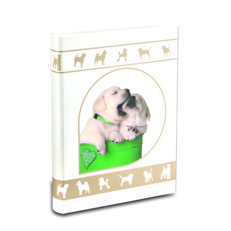Album Foto
