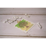 MATRIMONIO - ANNIVERSARIO